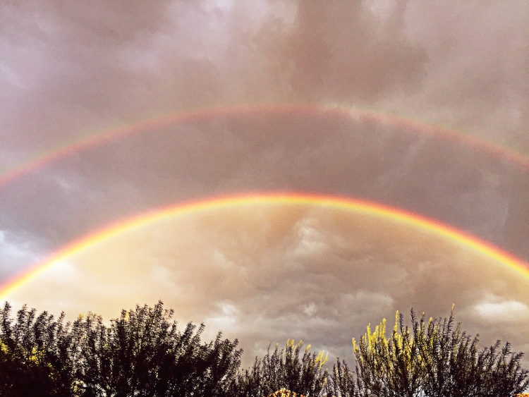 double-rainbow-erin-matlock