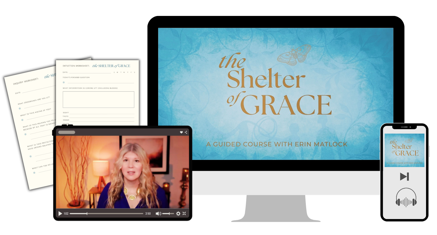 Shelter of Grace Course Bundle